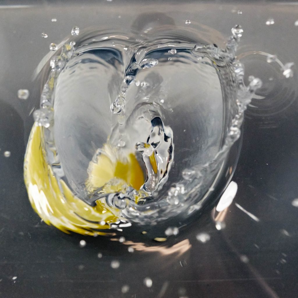 Workshop: Splash-Fotografie