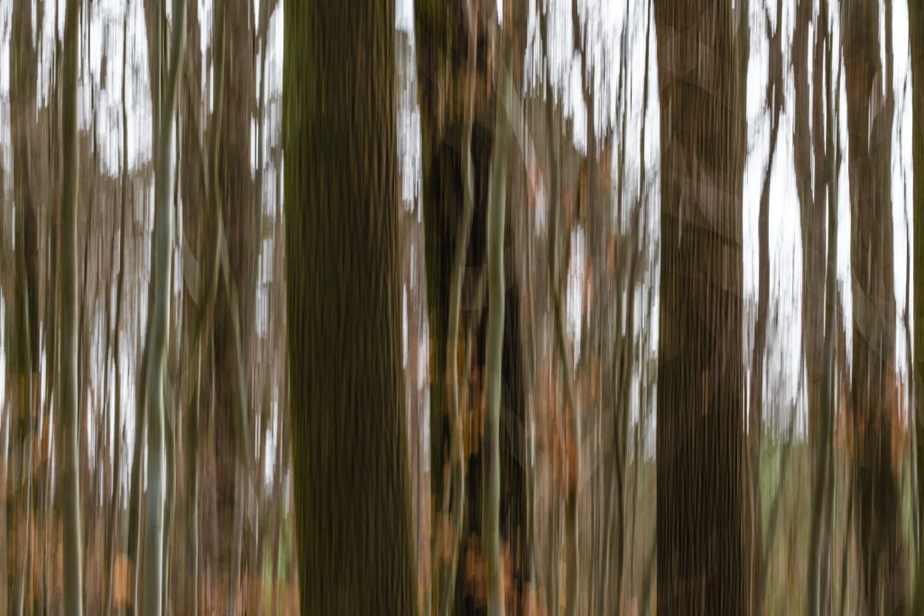 Fotogruppe – Workshop: Sportfotografie / ICM