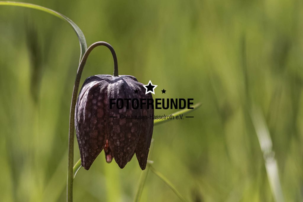 Fotogruppe – Ausflug in das Sinntal